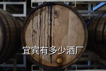 宜宾有多少酒厂