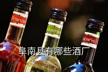 阜南县有哪些酒厂