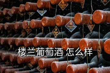 楼兰葡萄酒 怎么样