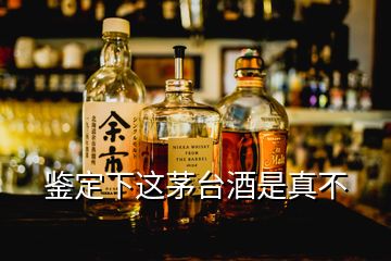 鉴定下这茅台酒是真不