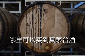 哪里可以买到真茅台酒