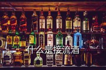 什么是接流酒