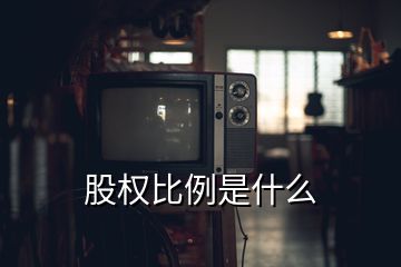 股权比例是什么