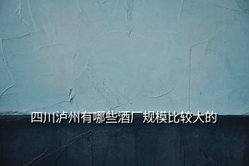 四川泸州有哪些酒厂规模比较大的