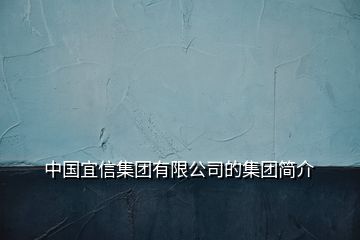 中国宜信集团有限公司的集团简介