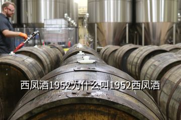 西凤酒1952为什么叫1952西凤酒