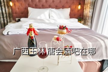 广西玉林 唐会酒吧在哪