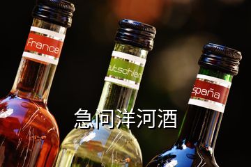 急问洋河酒