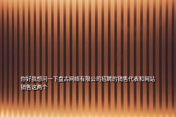 你好我想问一下盘古网络有限公司招聘的销售代表和网站销售这两个