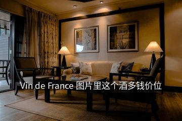 Vin de France 图片里这个酒多钱价位