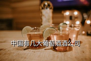 中国有几大葡萄酒酒公司