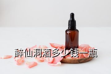 醉仙洞酒多少钱一瓶