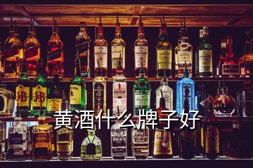 黄酒什么牌子好