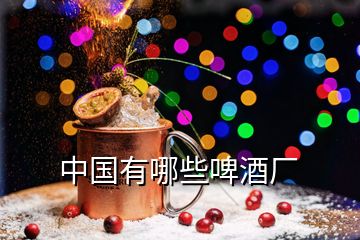 中国有哪些啤酒厂