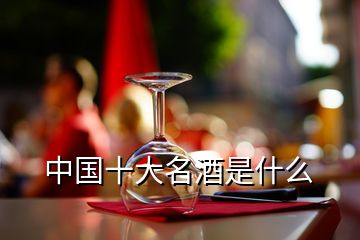 中国十大名酒是什么