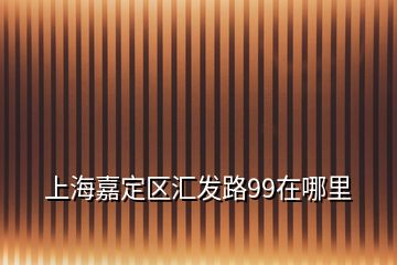 上海嘉定区汇发路99在哪里