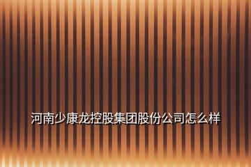 河南少康龙控股集团股份公司怎么样