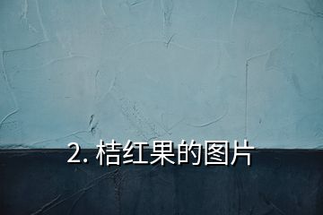 2. 桔红果的图片