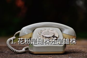 1. 花粉是雌株还是雄株