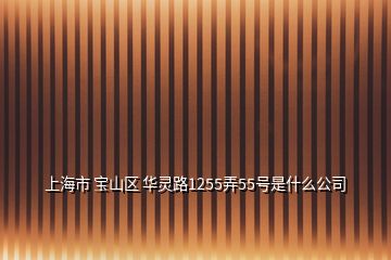 上海市 宝山区 华灵路1255弄55号是什么公司