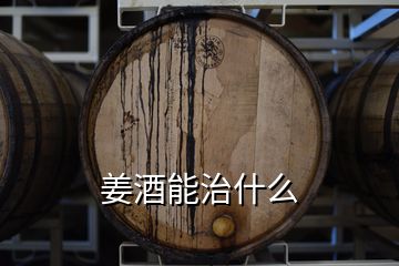 姜酒能治什么