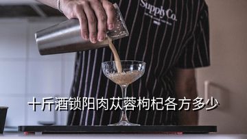 十斤酒锁阳肉苁蓉枸杞各方多少