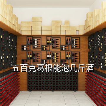 五百克葛根能泡几斤酒