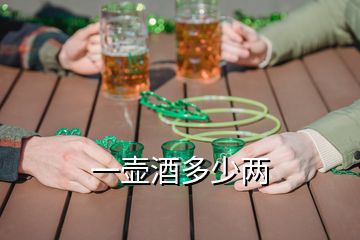 一壶酒多少两