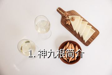 1. 神九根简介