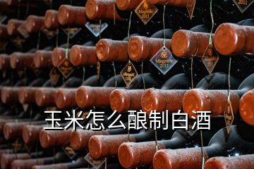 玉米怎么酿制白酒