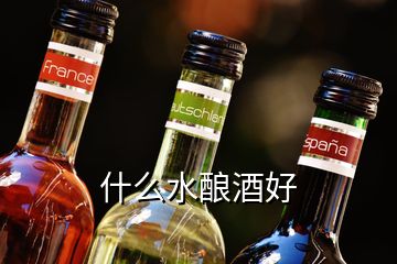 什么水酿酒好