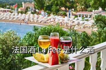 法国酒 La Fee 是什么酒