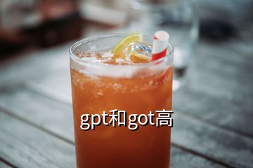 gpt和got高