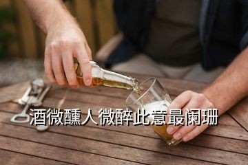 酒微醺人微醉此意最阑珊