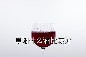 阜阳什么酒比较好