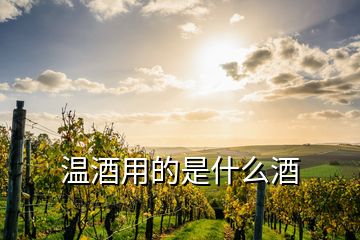 温酒用的是什么酒