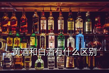 黄酒和白酒有什么区别