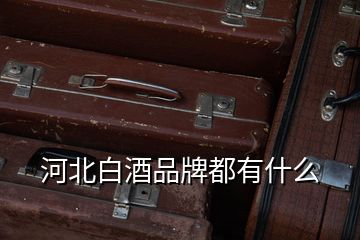 河北白酒品牌都有什么