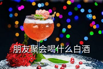 朋友聚会喝什么白酒