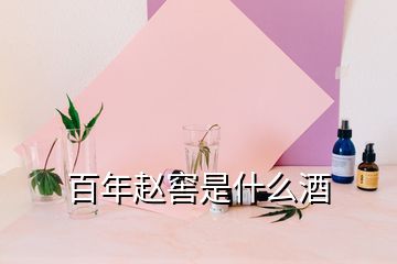 百年赵窖是什么酒