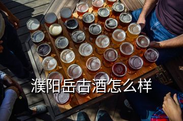 濮阳岳古酒怎么样