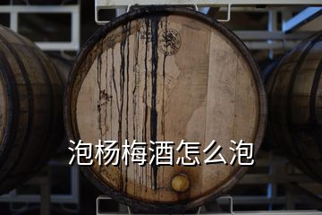 泡杨梅酒怎么泡