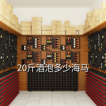 20斤酒泡多少海马