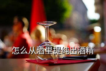 怎么从酒里提纯出酒精