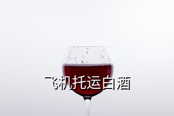 飞机托运白酒