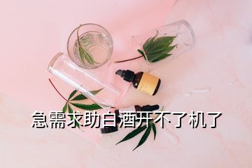 急需求助白酒开不了机了