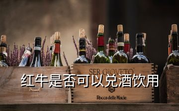 红牛是否可以兑酒饮用