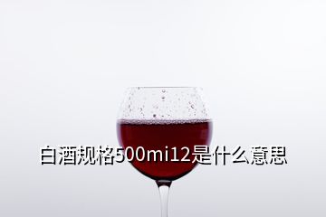 白酒规格500mi12是什么意思