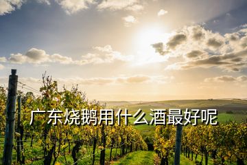 广东烧鹅用什么酒最好呢