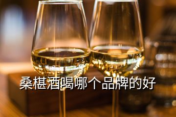 桑椹酒喝哪个品牌的好